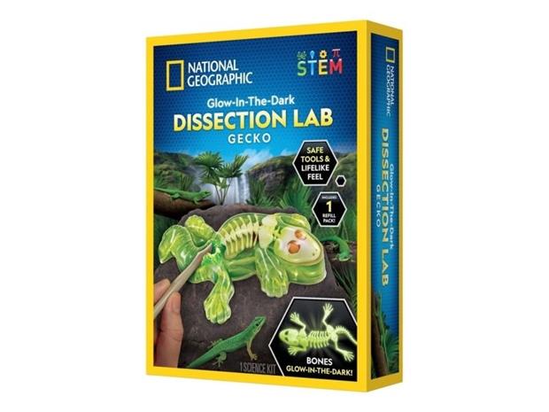 National Geographic Gecko Dissection Lab