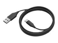 Jabra PanaCast - USB-C cable - 24 pin USB-C to USB Type A - 2 m