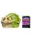 Gross-a-saurus GrossMos Dino - assorted – kuva 3
