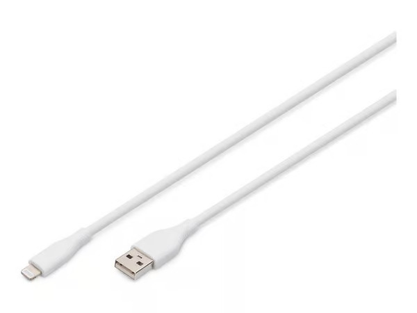 DIGITUS ASSMANN Lightning cable - 2 m