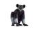 Schleich Wild Life 14877 Indri – kuva 7