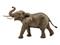 Schleich Afrikannorsu Uros – kuva 3