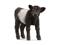 Schleich Galloway Calf – kuva 7