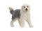Schleich Old English Sheepdog – kuva 4