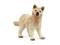 Schleich Wild Life Arctic Wolf Cub susi – kuva 5