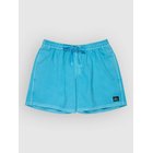 Quiksilver Everyday Surfwash Volley 15 Surffishortsit aqua Miehet