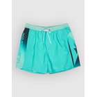 Quiksilver Everyday Holmes Volley 16 Surffishortsit aqua holmes Miehet