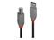 Lindy Anthra Line - USB 2.0 Type A to B Cable - 3m – kuva 3