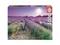 Educa 1000 Bike In A Lavender Field – kuva 3