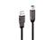 Lindy - USB cable - USB Type A to USB Type B - 10 m – kuva 7