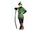 Robin Hood puvussa – kuva 1