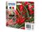 Epson Multipack 4-colours 503 Ink – kuva 2