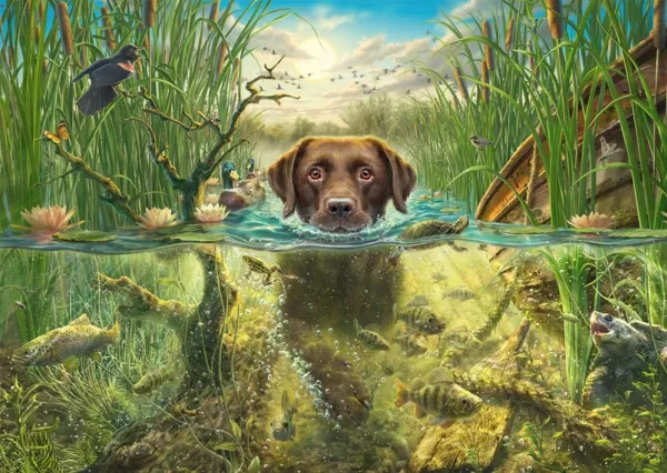 Schmidt Chocolate Labrador Takes a Cool Dip 1000p palapeli