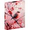 ENJOY RUBY SONGBIRD 1000P PALAPELI – kuva 1