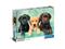 Clementoni Three Labradors (1000) – kuva 6
