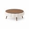 Coffee Table Homitis - – kuva 1