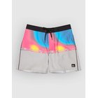 Quiksilver Everyday Half Jam 16 Surffishortsit microchip wordblock Miehet