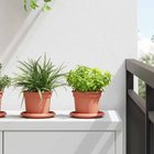 vidaXL Kasviruukut 6 pcs Tiilenpunainen Ø 12,5 x 10 cm Muovi