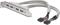 DIGITUS ASSMANN - USB panel - 10 PIN IDC to USB - 25 cm – kuva 3