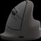 Fellowes Vertical Wireless Mouse Breyta Ergonomic Right Handed Vertical Mouse Medium – kuva 3