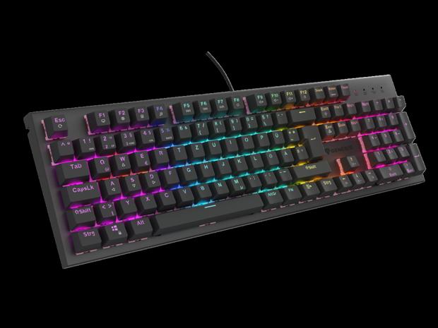 GENESIS NKG-2179 keyboard Gaming USB QWERTZ German Black