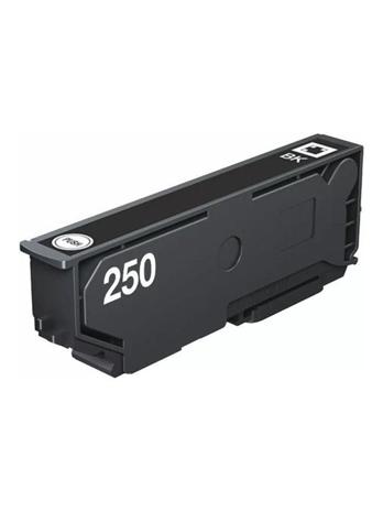 Epson Singlepack Black 250 ink RF/AM Tag – kuva 2/7