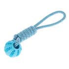 TIAKI-köysi TPR-pallolla 34xä˜6,5cm koiralle