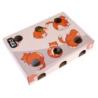 TIAKI Fun Box -kissanlelu