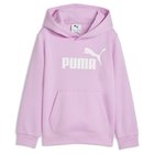 Puma ESS No. 1 Logo Fleece Hoodie Kids
