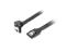 Lanberg SATA cable - 50 cm – kuva 5