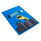 Warner Bros.â„¢ DC Batman -lemmikkipeitto 100x70cm koirille ja kissoille