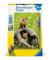 Ravensburger Curious Foxes 300p – kuva 4
