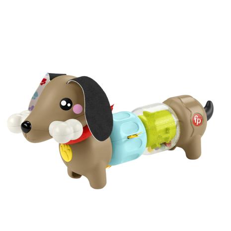 Fisher Price Click & Spin Activity Pup CDU – kuva 8/8