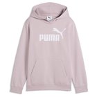 Puma ESS No. 1 Logo Fleece Hoodie Youth
