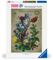 Ravensburger - Lifecircle Butterfly - 1000p (12001435) – kuva 7