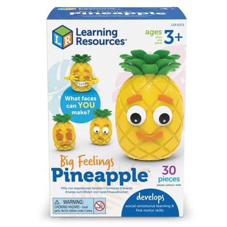 Learning Resources - Big Feelings Pineapple (LSP6373-SCA)