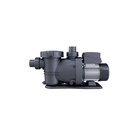 Swim & Fun Inground -kiertovesipumppu 600 W (enintään 65 m3) - 600 W (enintään 65 m3)