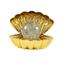 iTotal - Shell Lamp - Golden - Compact – kuva 2