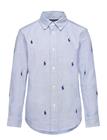 Ralph Lauren Kids Classic Oxford-Clbdppc-Si-Sps - Blue - 124-131
