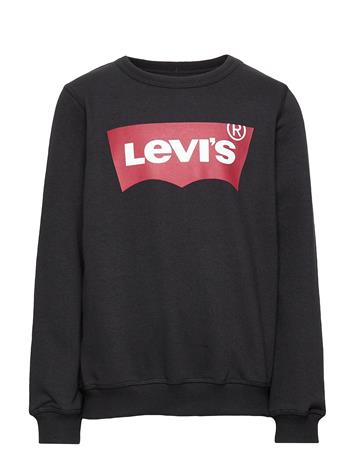 LKS9079_21376416 – kuva 1/3