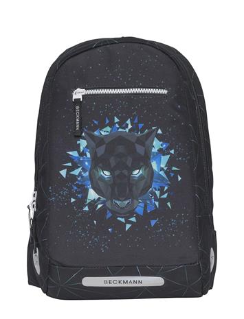Beckmann Reppu 12L, Panther