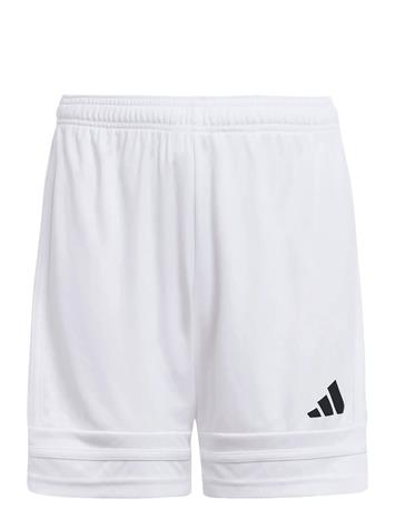 adidas Performance Squa25 Sho Y - White - 176 – kuva 2/4