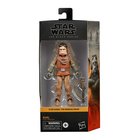 Figuuri: Star Wars The Mandalorian - Kuiil (Black Series) (15cm) FIGU