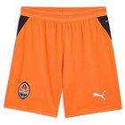 Puma Shakthar Donetsk 26/27 Shorts Men