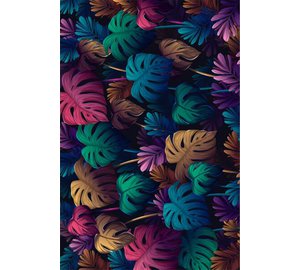 Asir matto CT-2154 80x300 cm