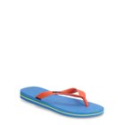 HAVHAU4110850_231220236