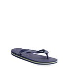 HAVHAU4110850_12971216