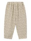 FLIF1102_232101145