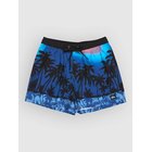 Quiksilver Everyday Printed Volley 15 Surffishortsit monaco blue thermotropics Miehet