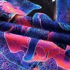 Seinä koristelu UV FLUORESCENT GOBELIN ODBLASK 150x150cm Lew2, Sienu apdaila UV FLUORESCENT GOBELIN ODBLASK 150x150cm Lew2